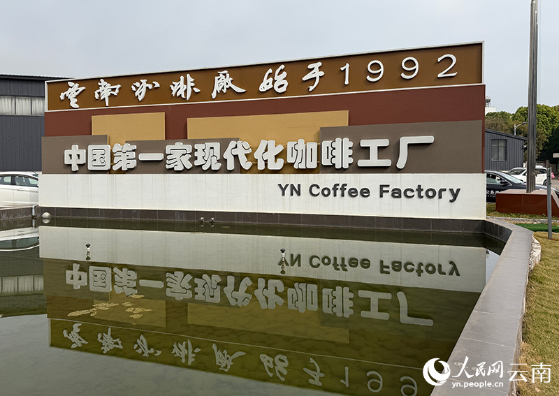 从“出山”走向“出圈”麻将胡了网址云南咖啡：(图7)