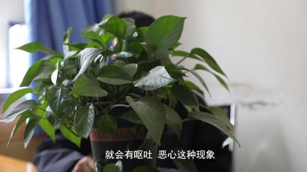 肥咖啡”被查！同款产品却仍在销售PG麻将胡了2超千万元有毒“减