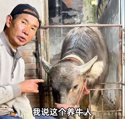 17万粉丝放牛网红10年前原来是“毒贩”麻将胡了2模拟器试玩旧事文摘：“绝命糖师