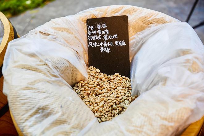 验咖啡文化深入了解背后的文化故事PG麻将胡了普洱北归咖啡庄园体(图2)