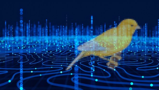 惊人实锤：00后20%初级IT岗蒸发AI失业潮来了PG电子麻将胡了2模拟器Hinton神预言！斯坦福(图5)